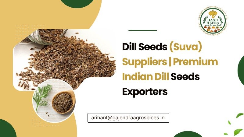 Premium Indian Dill Seeds Suva for global export