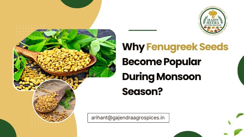 Why Cumin Seeds