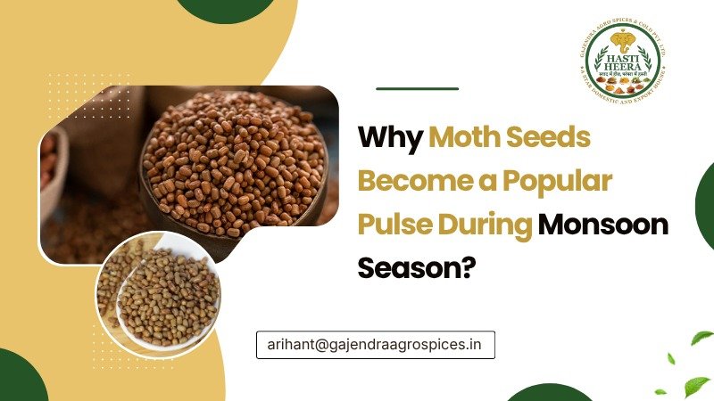 Why Moth Seeds Are Popular During Monsoon